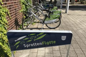 Sprottenflotte